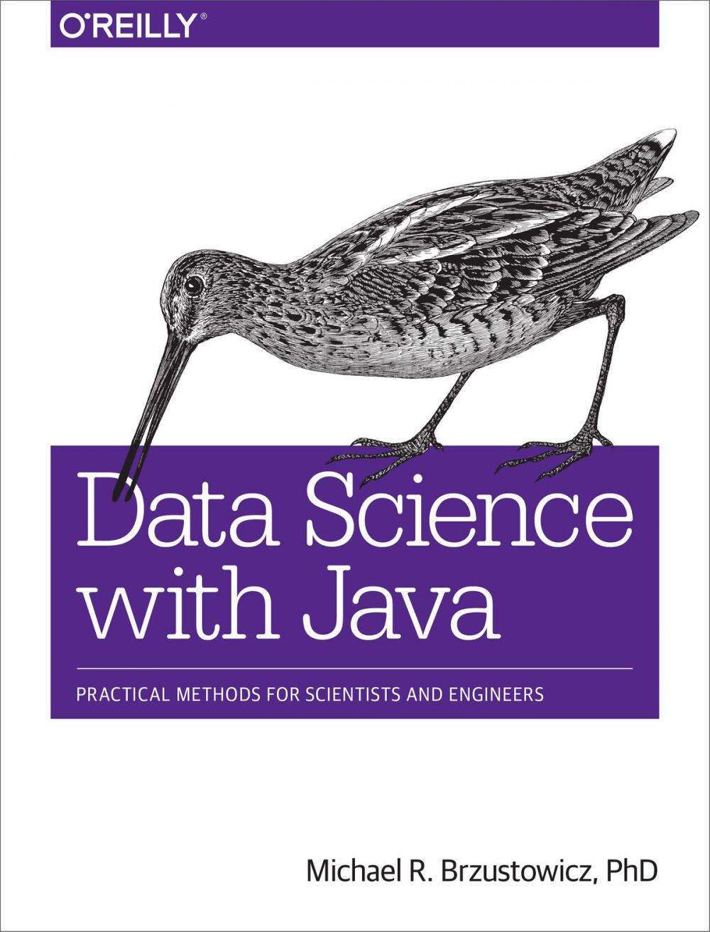 Big bigCover of Data Science with Java