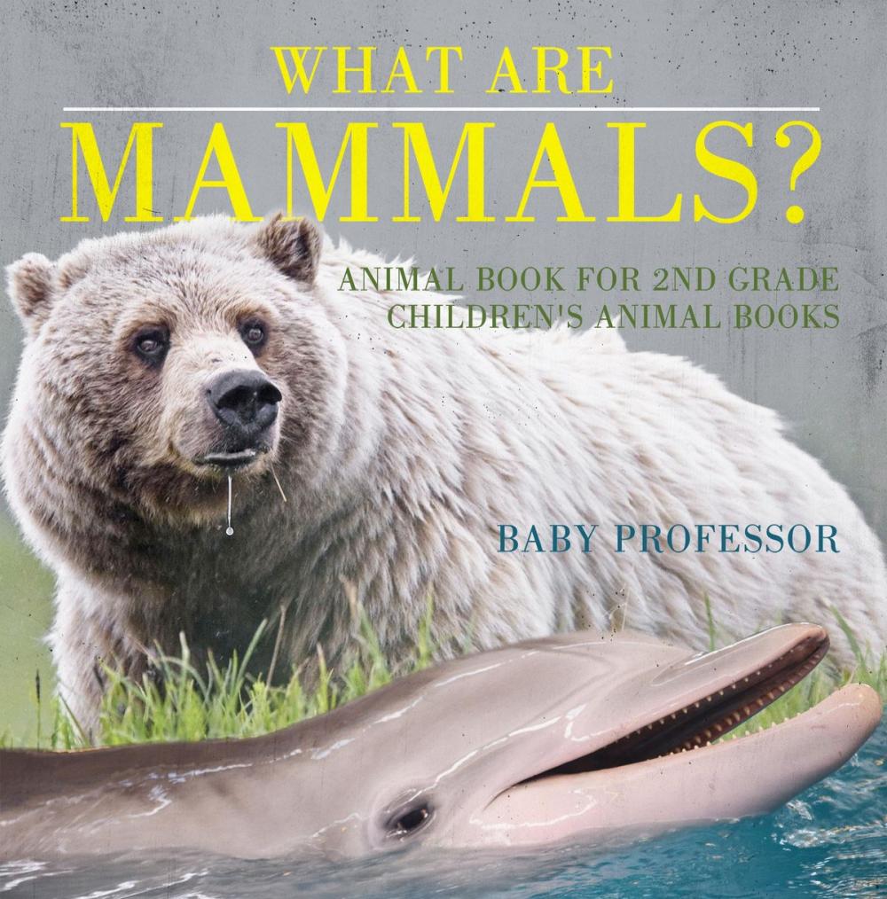 Big bigCover of What are Mammals? Animal Book for 2nd Grade | Children's Animal Books