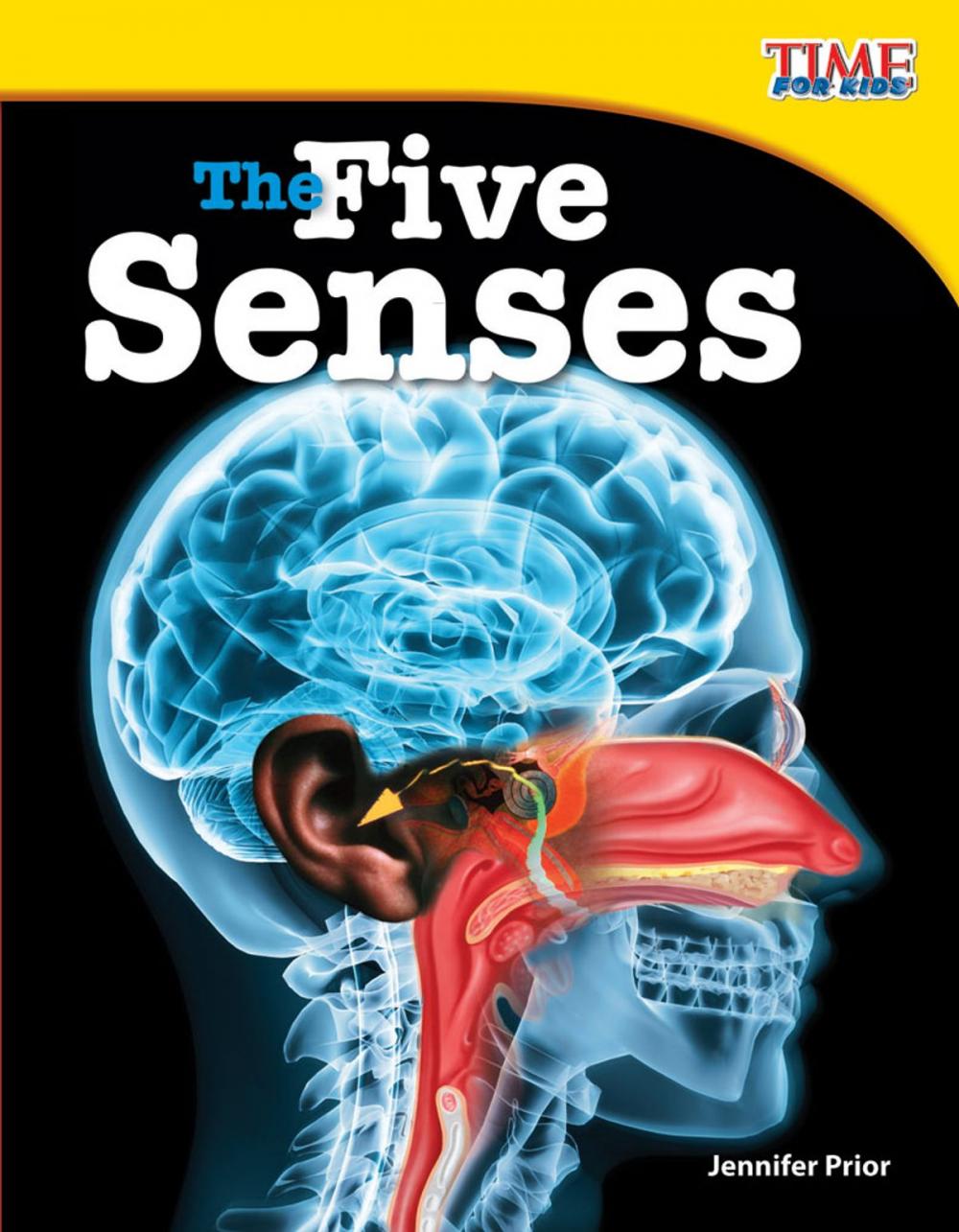 Big bigCover of The Five Senses