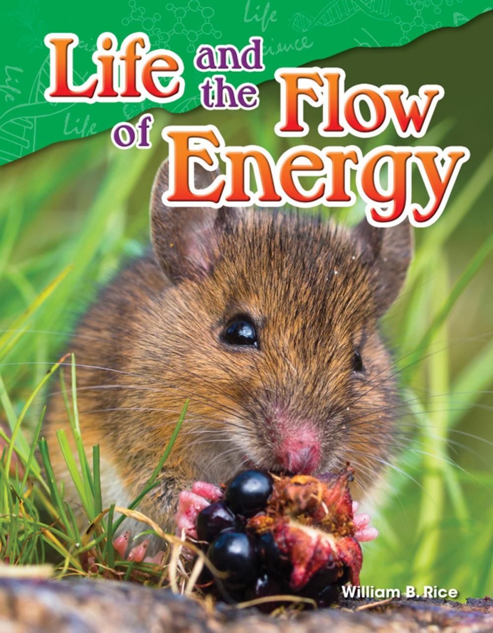 Big bigCover of Life and the Flow of Energy