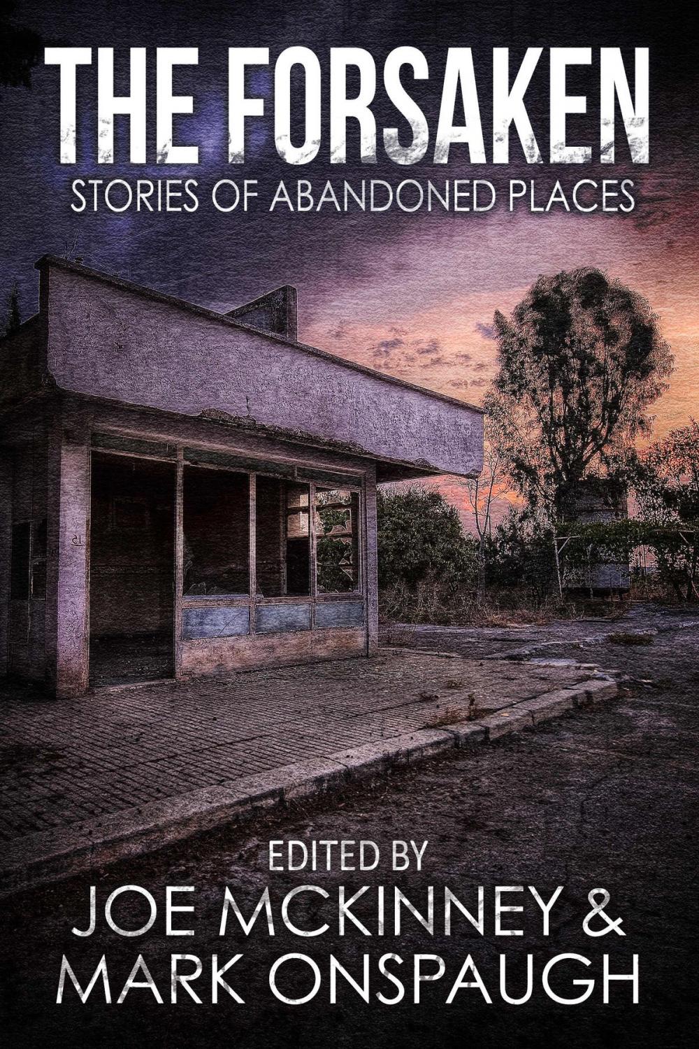 Big bigCover of The Forsaken: Stories of Abandoned Places