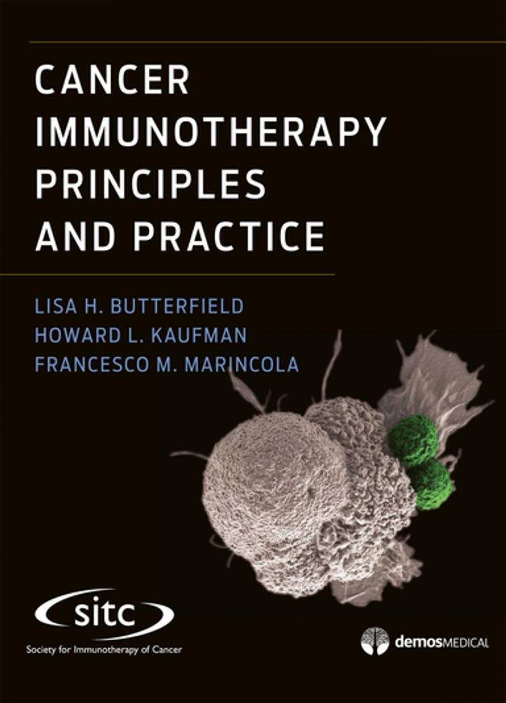 Big bigCover of Cancer Immunotherapy Principles and Practice