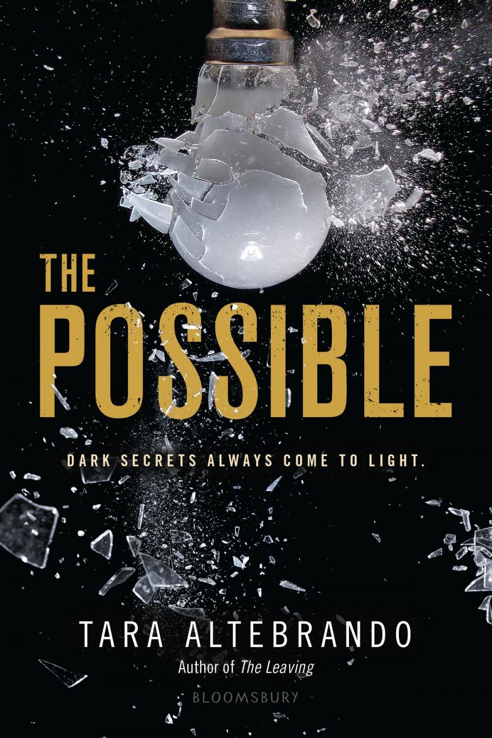 Big bigCover of The Possible
