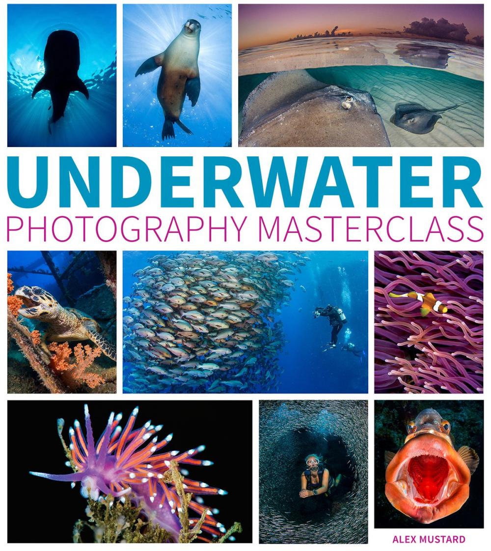 Big bigCover of Underwater Photography Masterclass