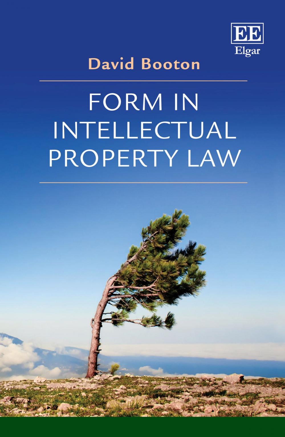 Big bigCover of Form in Intellectual Property Law
