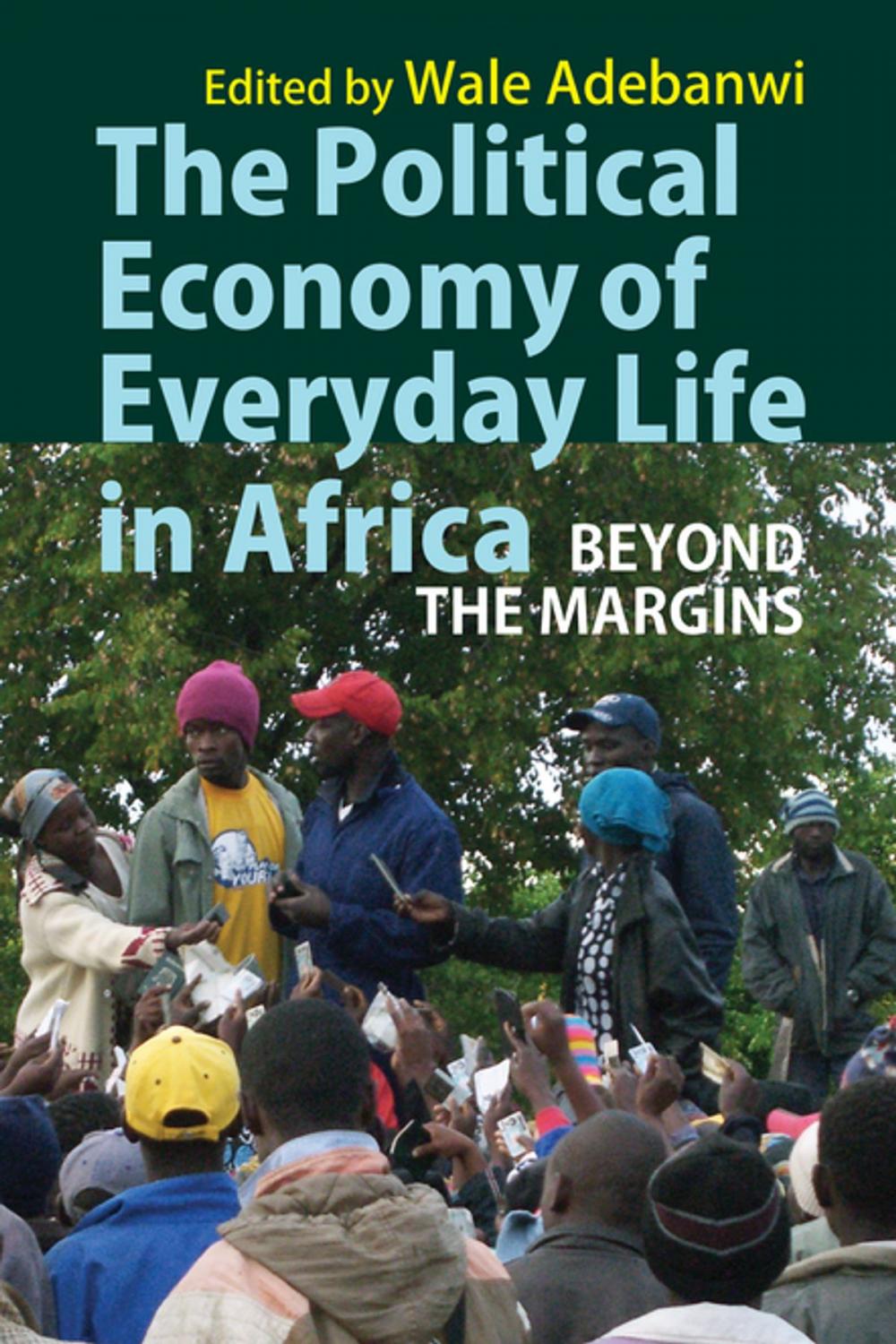 Big bigCover of The Political Economy of Everyday Life in Africa
