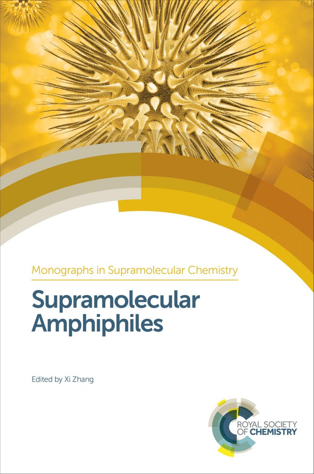 Big bigCover of Supramolecular Amphiphiles