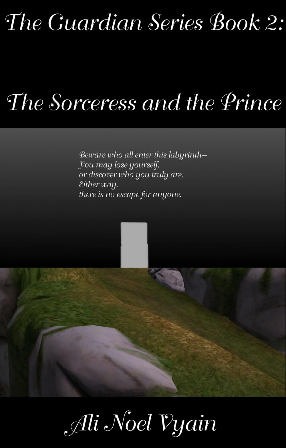 Big bigCover of The Sorceress and the Prince