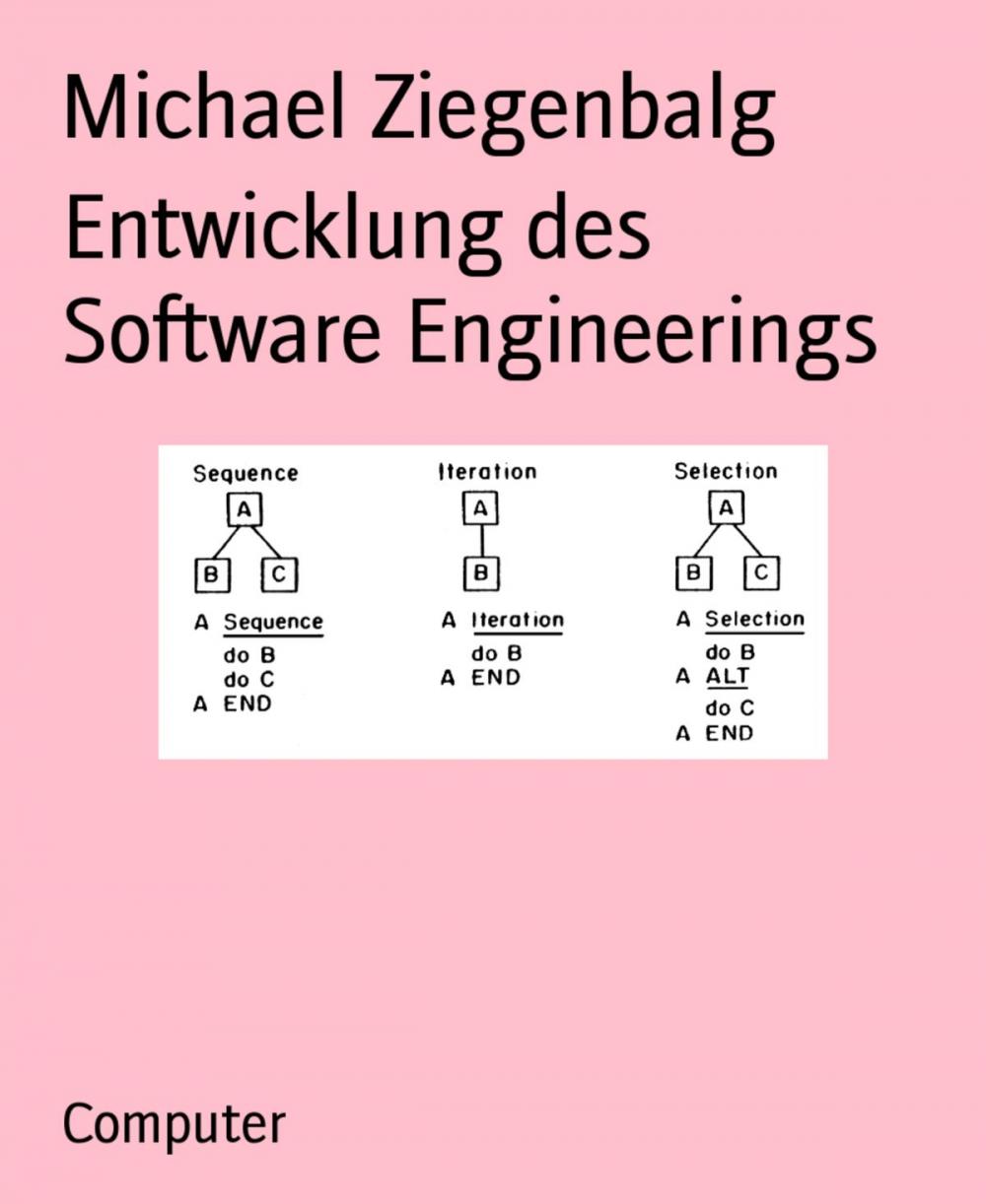 Big bigCover of Entwicklung des Software Engineerings