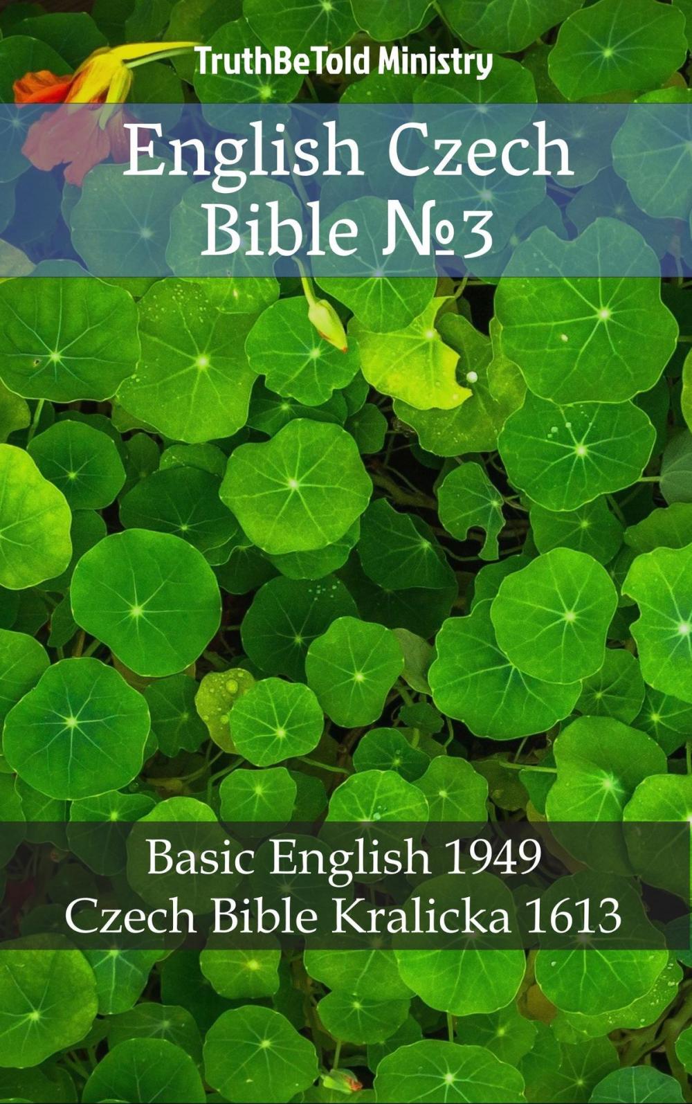 Big bigCover of English Czech Bible №3