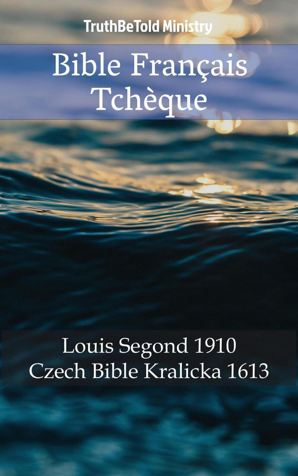 Big bigCover of Bible Français Tchèque