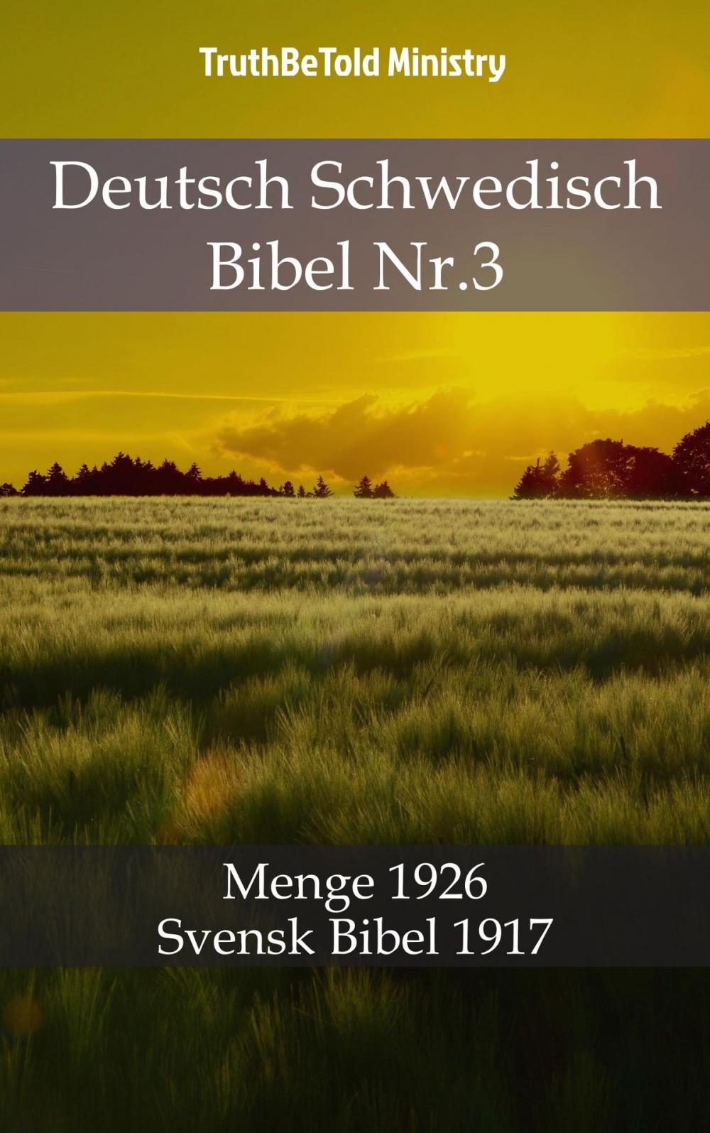 Big bigCover of Deutsch Schwedisch Bibel Nr.3