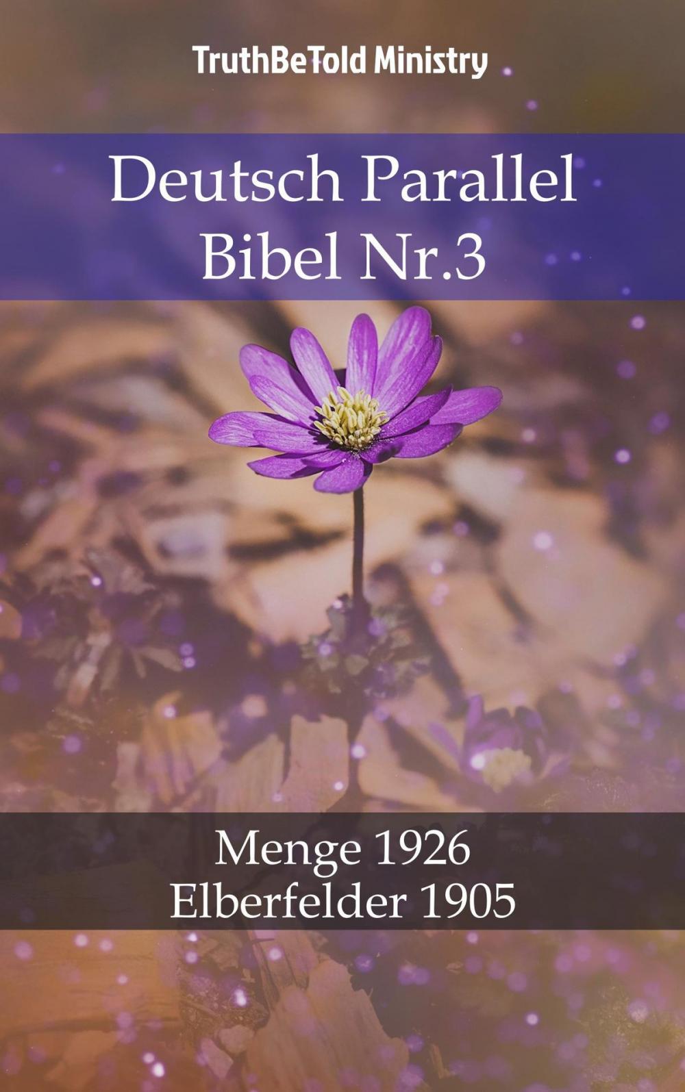 Big bigCover of Deutsch Parallel Bibel Nr.3