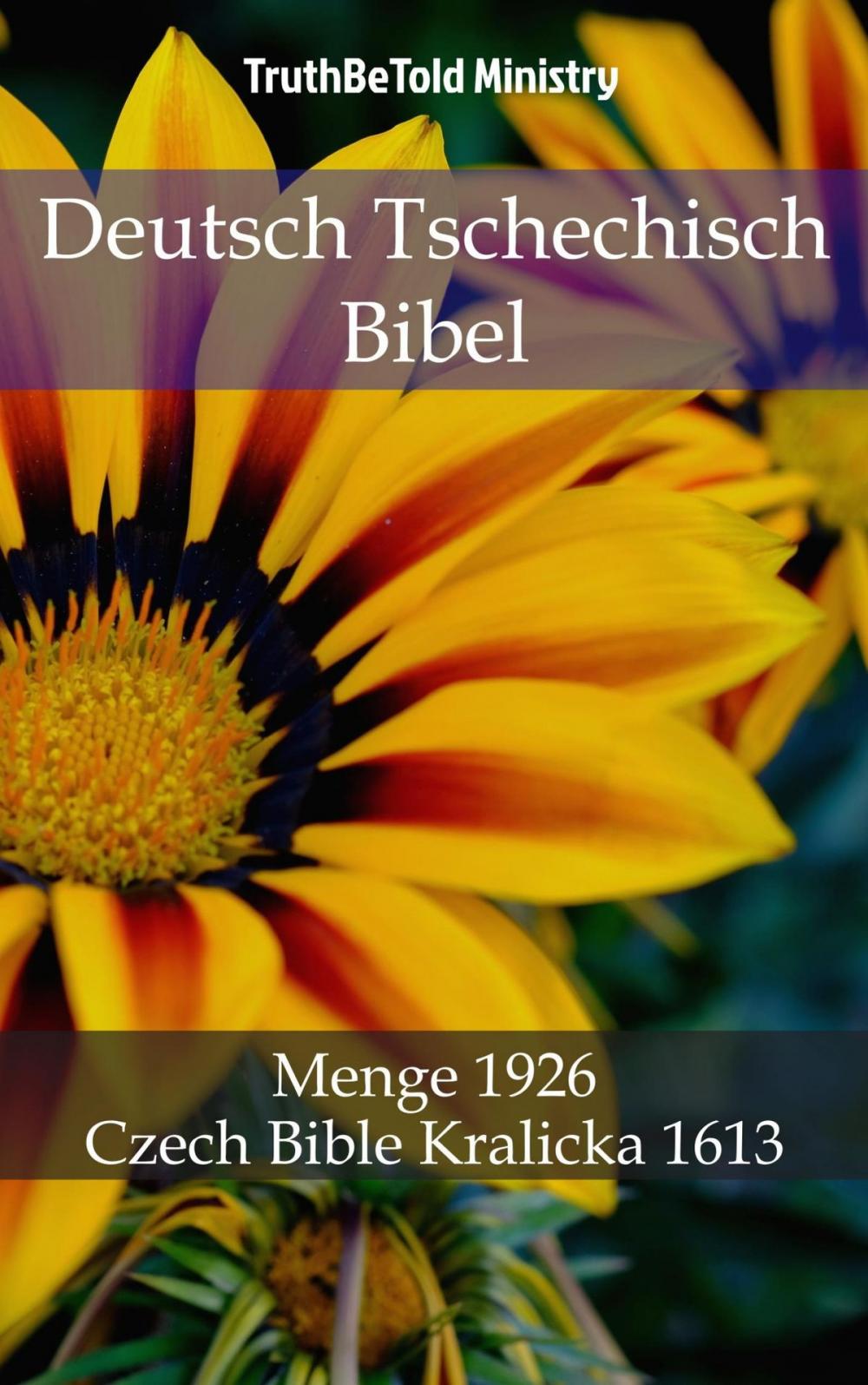 Big bigCover of Deutsch Tschechisch Bibel