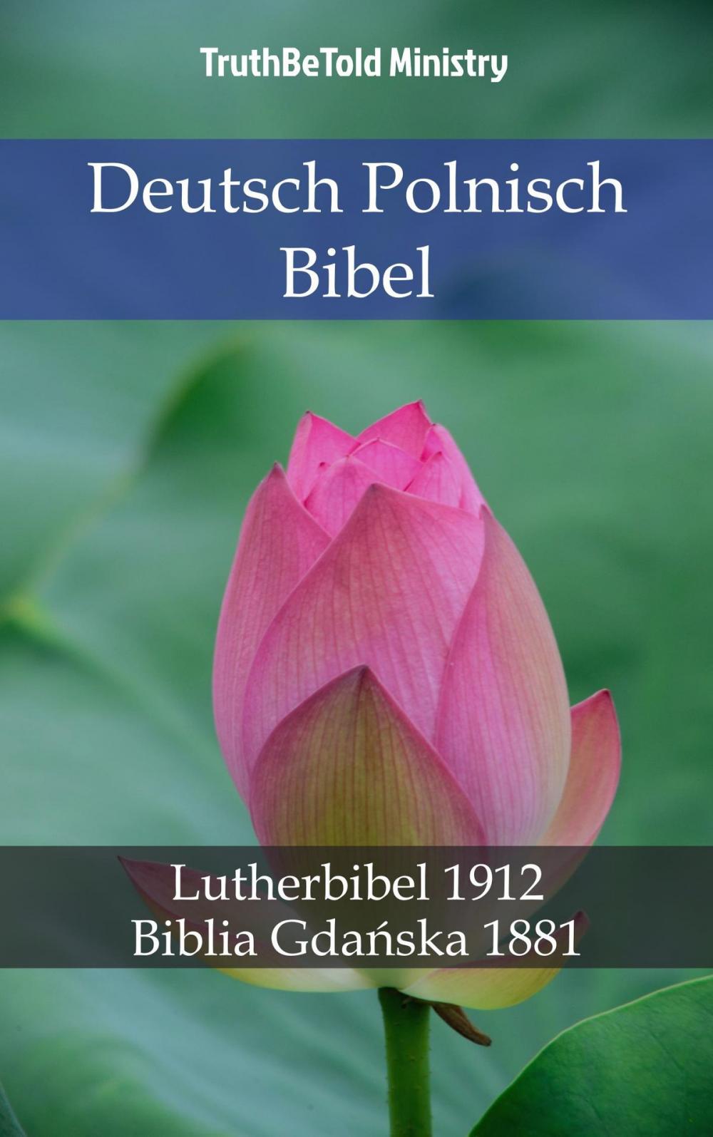Big bigCover of Deutsch Polnisch Bibel