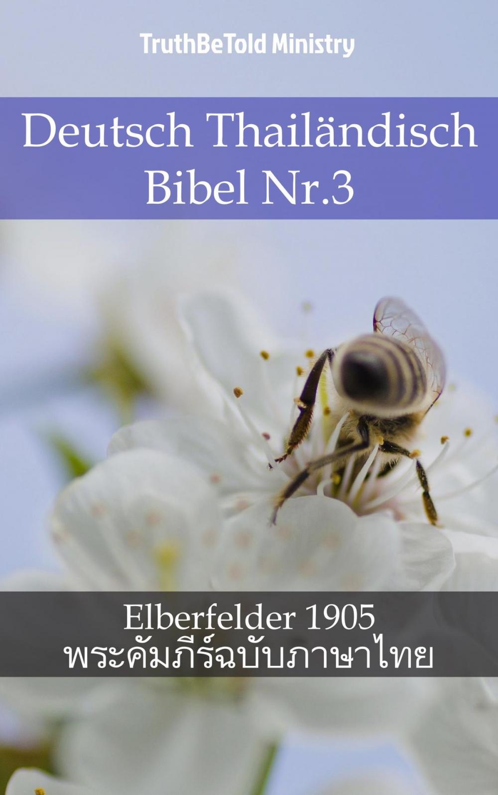 Big bigCover of Deutsch Thailändisch Bibel Nr.3