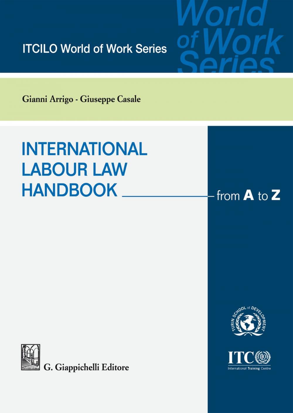 Big bigCover of International Labour Law Handbook