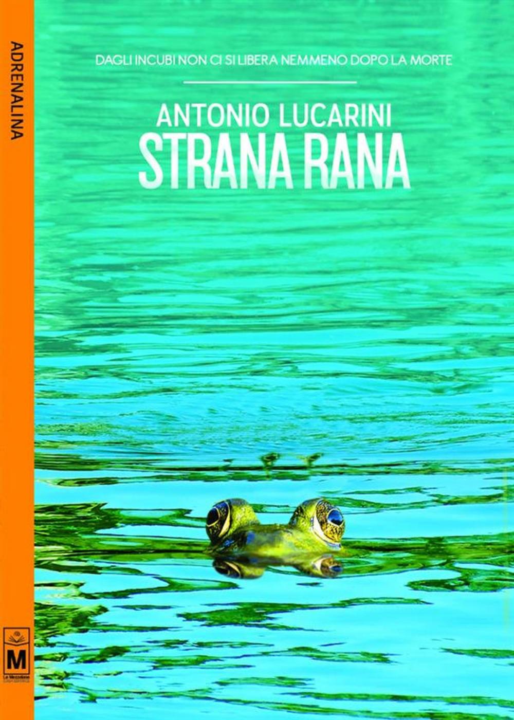 Big bigCover of Strana rana