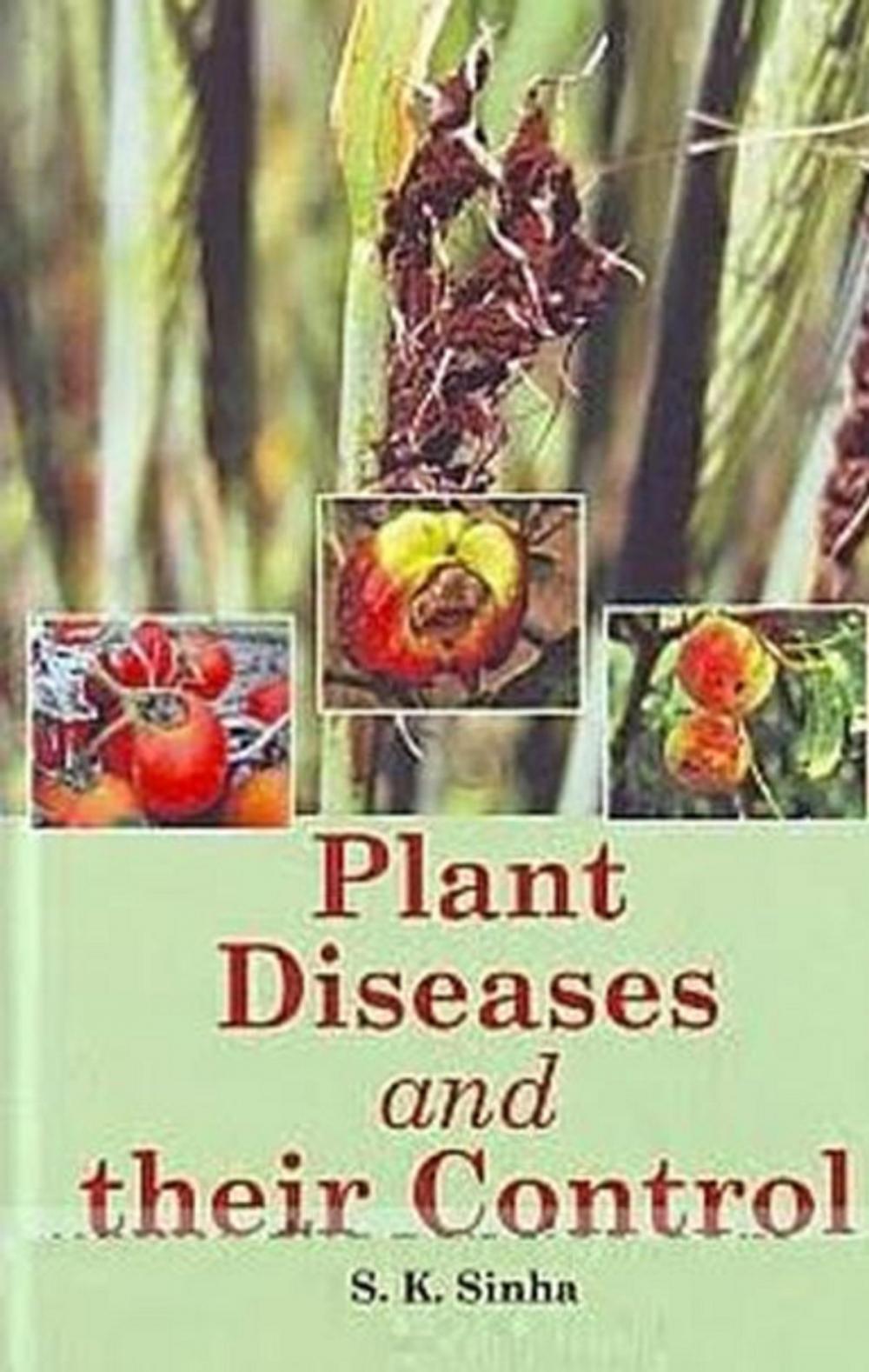 Big bigCover of Plant Diseases And Their Control