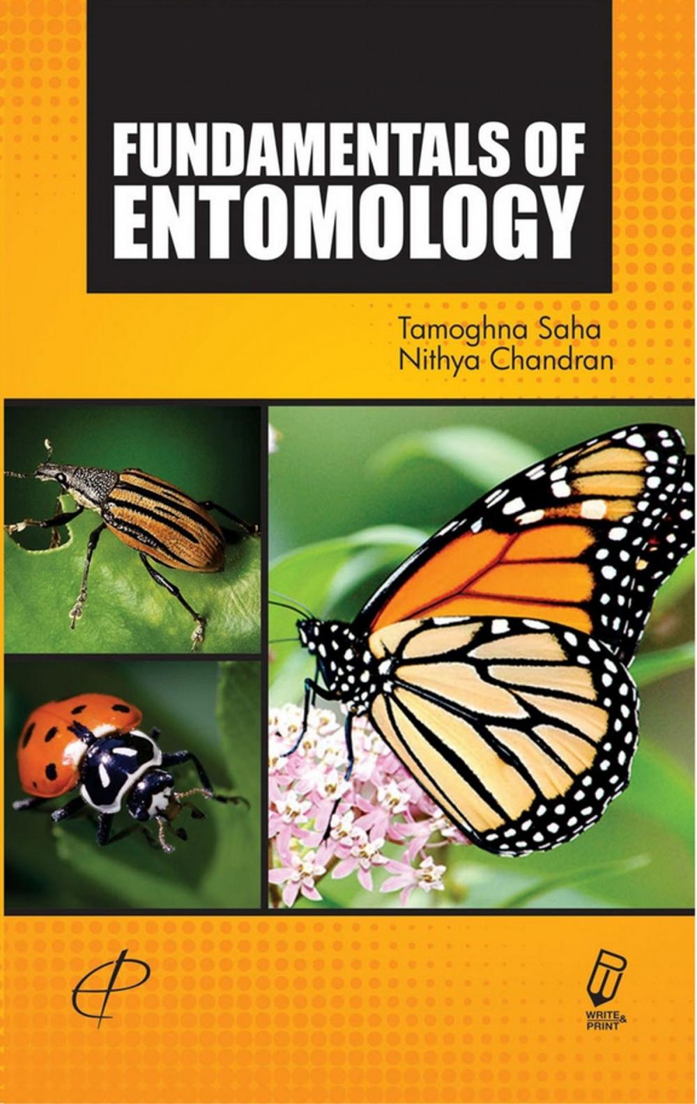 Big bigCover of Fundamentals Of Entomology