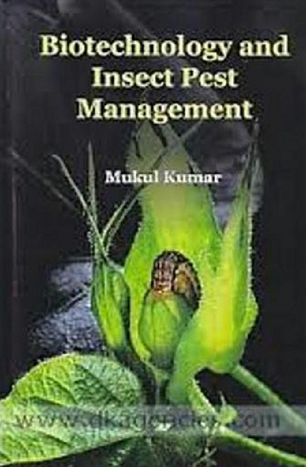 Big bigCover of Biotechnology And Insect Pest Management