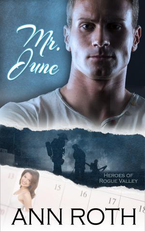 Cover of the book Mr. June by Julie Farrell