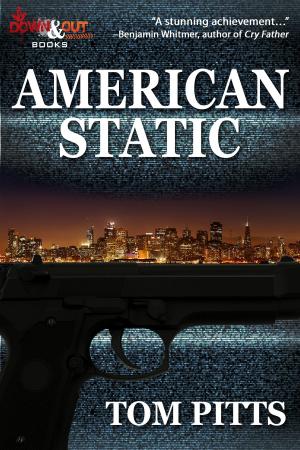 Cover of the book American Static by James R. Tuck, Eric Beetner, Christa Faust, Les Edgerton, Mel Odom, Grant Jerkins, J.L. Abramo, Trey R. Barker, Charles Rutledge