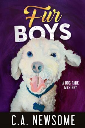 Cover of the book Fur Boys by P.J. Conn