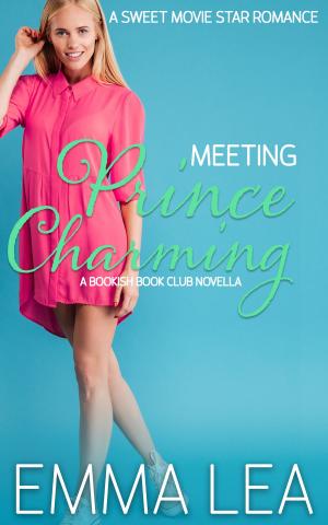 bigCover of the book Meeting Prince Charming by 