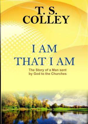 Cover of the book I AM THAT I AM by Patti Stafford