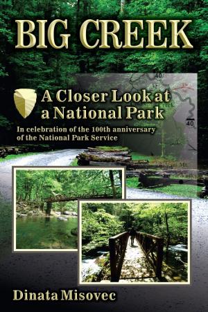 Cover of the book Big Creek: A Closer Look at a National Park by Lamont Wood