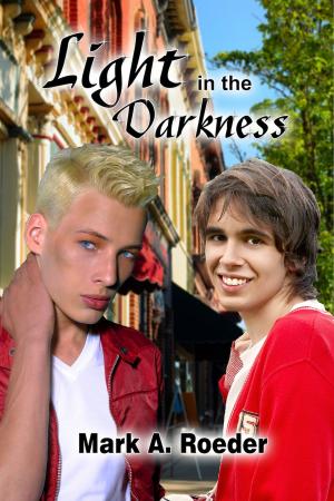 Book cover of Light in the Darkness