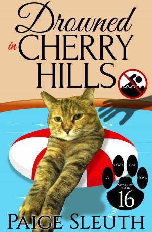 Cover of the book Drowned in Cherry Hills by CJ Verburg