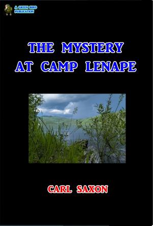 Cover of the book The Mystery at Camp Lenape by Harriette Newell Baker