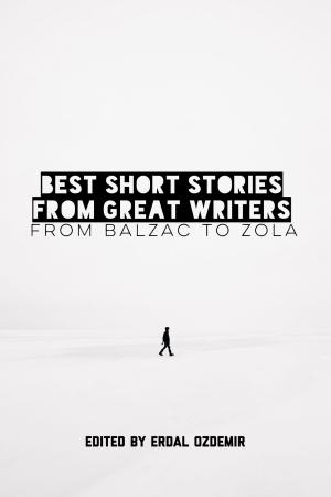 bigCover of the book Best Short Stories from Great Writers by 