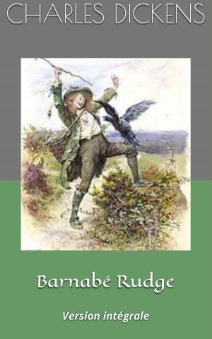 Cover of the book Barnabé Rudge by James McPherson LeMoine