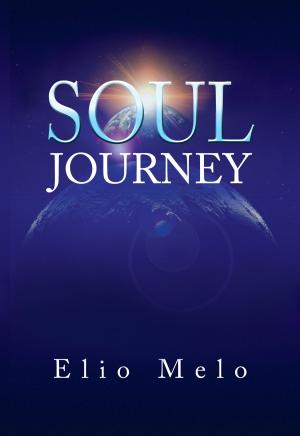 Cover of the book Soul Journey by Santoshan (Stephen Wollaston)