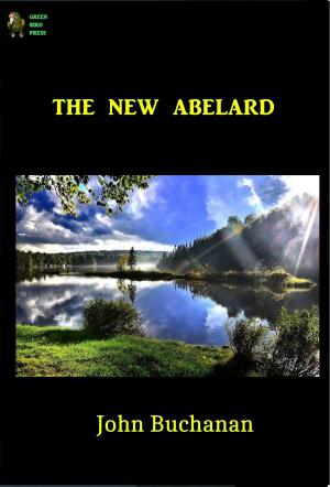 Cover of the book The new Abelard by Pierce Egan