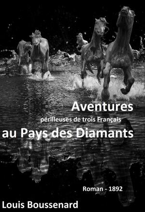 Cover of the book Aventures périlleuses de trois Français au Pays des Diamants by Layne Franks