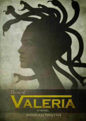 Cover of the book Diary Of Valeria by Wendy Terrien
