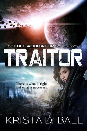 Cover of the book Traitor by Sandy Addison