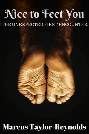 bigCover of the book Nice To Feet You by 