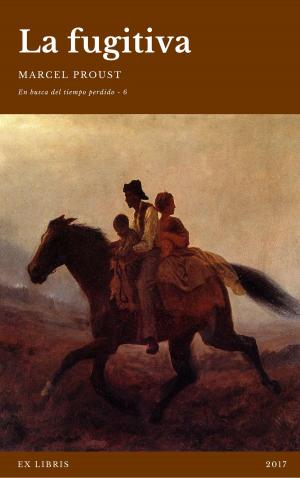 Cover of the book En busca del tiempo perdido by Karl Drobnic