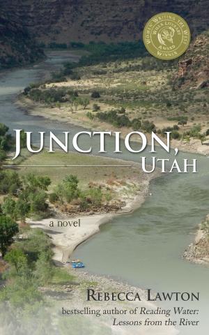 Book cover of Junction, Utah