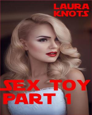 Book cover of The Sex Toy Part 1