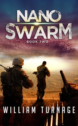 Cover of the book NanoSwarm by Daniel Zazitski