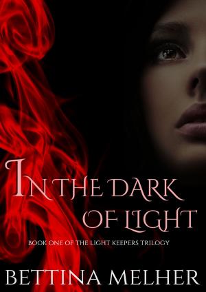 Cover of the book In the Dark of Light by T.J. Anderson
