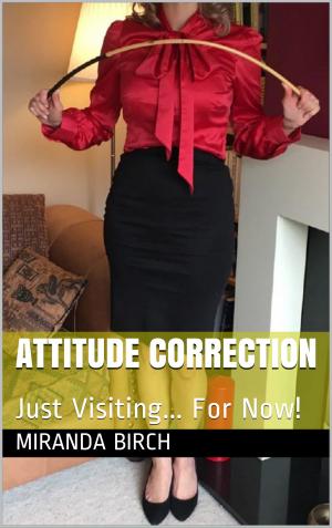Cover of the book Attitude Correction by Christina Black