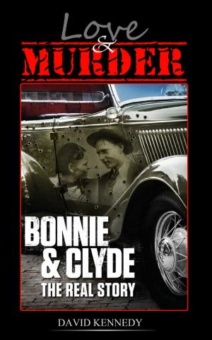 bigCover of the book Love & Murder by 