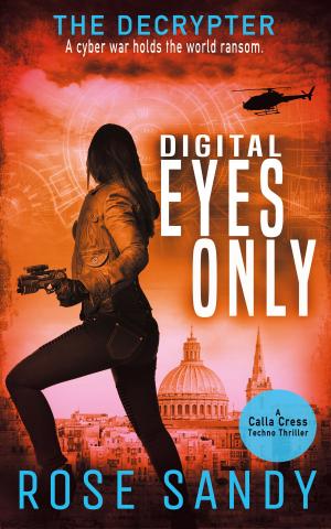 Cover of the book The Decrypter: Digital Eyes Only by 莫里斯.盧布朗 Maurice Leblanc
